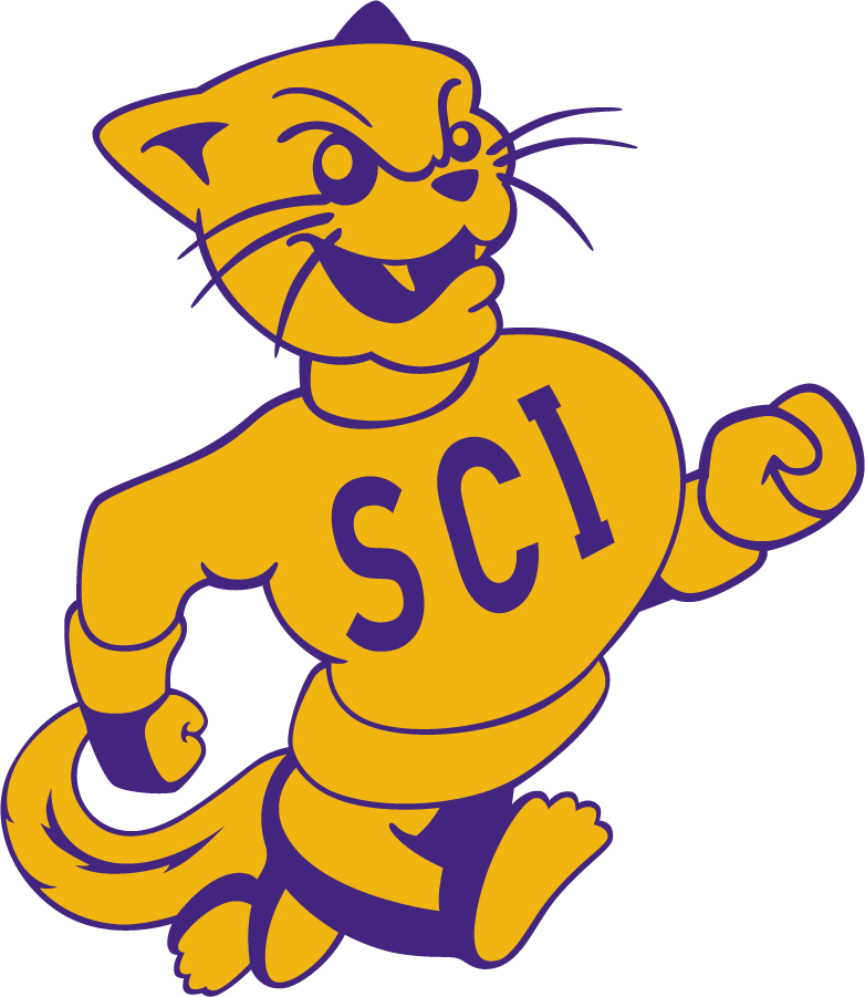 Northern Iowa Panthers 1964-1967 Primary Logo diy iron on heat transfer